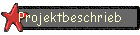 Projektbeschrieb