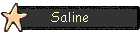 Saline
