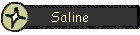 Saline