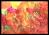 4b123.jpg (35357 Byte)