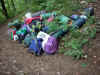 Dsc00008.jpg (96000 Byte)