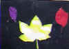 Dsc0079.jpg (8549 Byte)