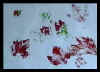 H51.jpg (21216 Byte)