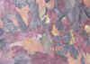 Mvc-299s.jpg (46112 Byte)