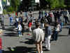 P1010070.JPG (204979 Byte)