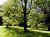wpe25.jpg (89052 Byte)