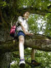 wpe29.jpg (58879 Byte)